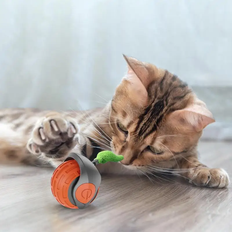 Cat Interactive Toys Electric Cat Toys Cat Toy Ball Cat Balls Interactive Cat Toys For Small Cat Big Cat Entertainment Indoor