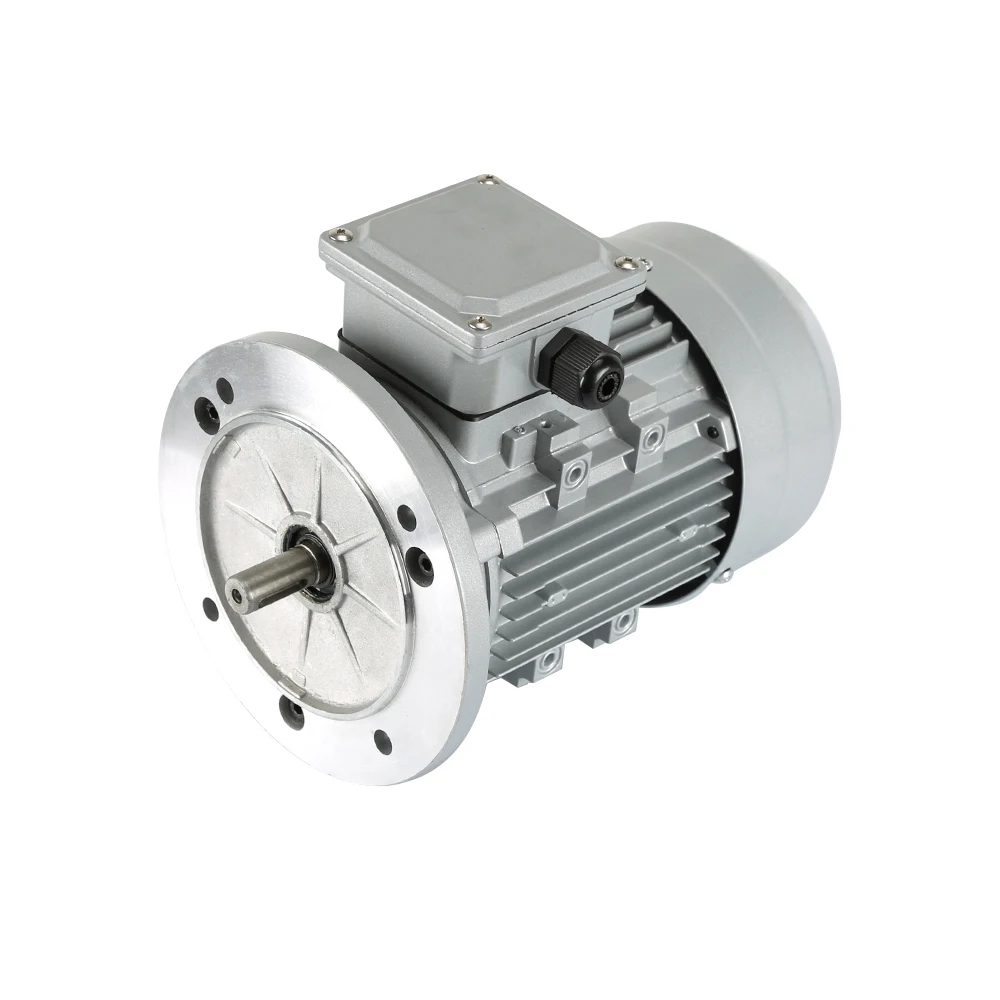 

Chinense CE Approved 110V 220V 240V 50Hz 60Hz IP54 B3 B5 B14 Flange 3 Phase Induction Electric Motor