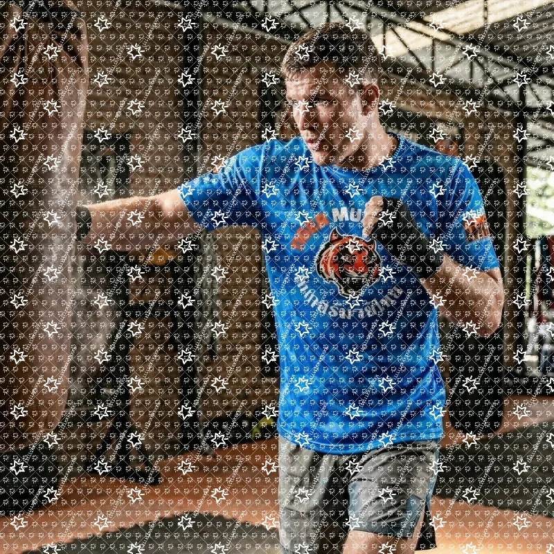 Muay Thai Tiger Head Graphic Short Sleeve T-shirt Blue Full Print Unisex Martial Arts Fighting Sports Tee Loose Casual Top