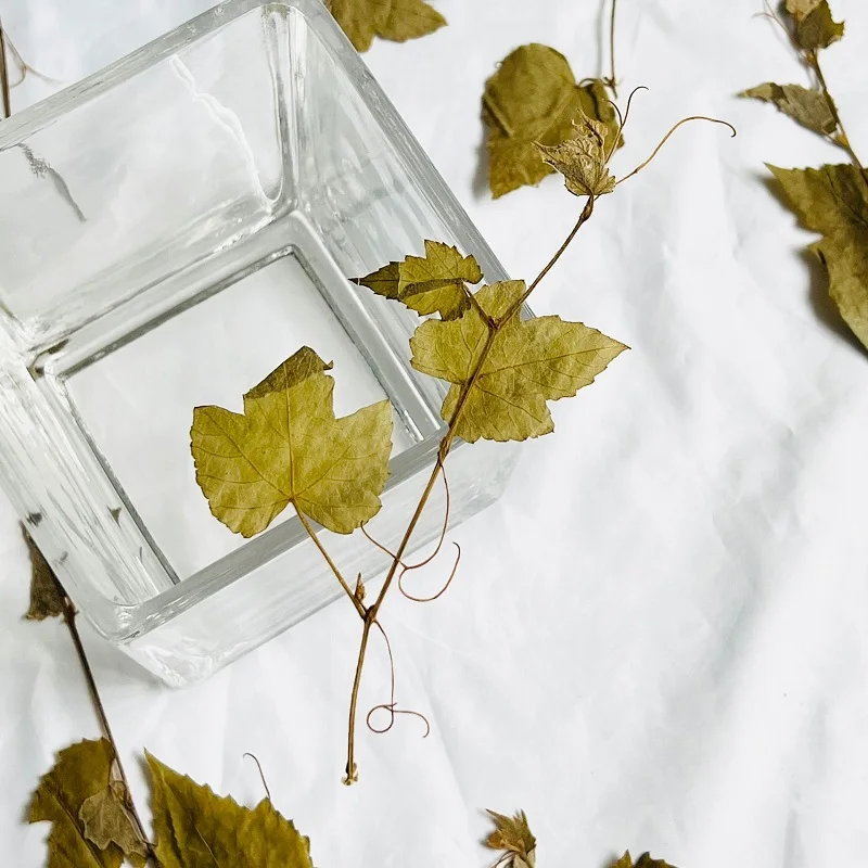 120 sztuk prasowane suszone winorośl kwiat Herbarium żywica epoksydowa biżuteria zakładka do książki wentylator rama przypadku telefonu makijaż twarzy lampy