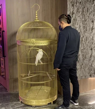 Large European wrought iron oversized parrot starling bird cage garden decorative cage
