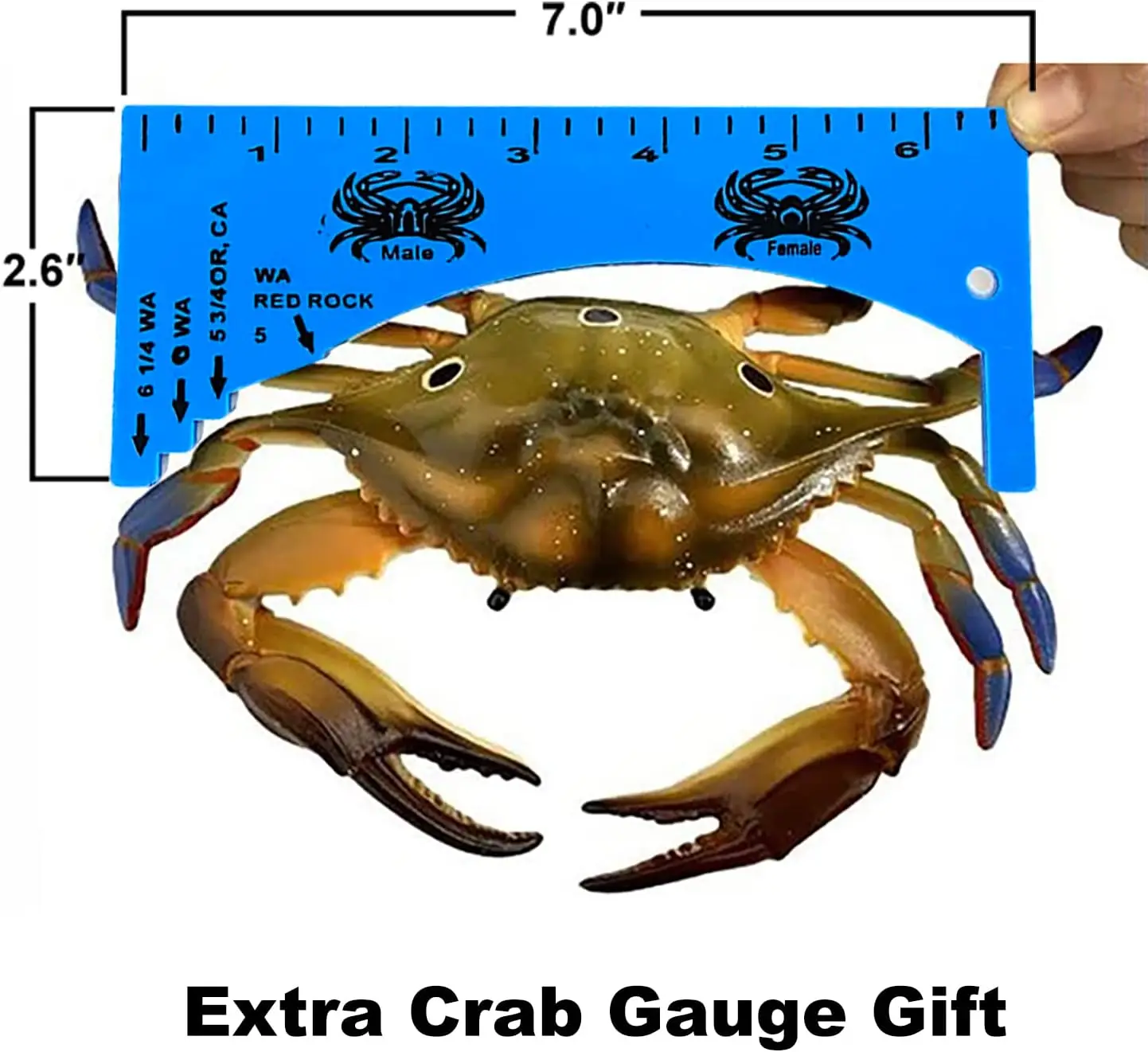 Castable Crab Trap Hawk Foldable Crabjaw with Crab Gauge and Bait Clip