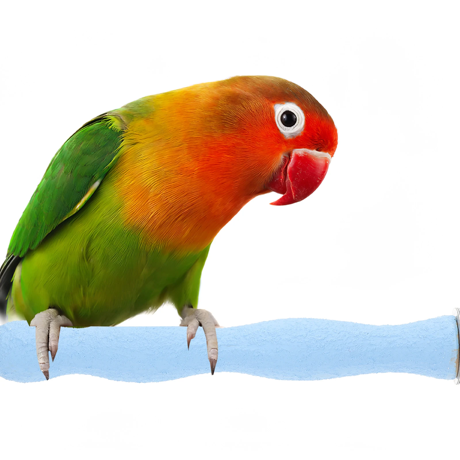 

20 CM Bird Claw Stick Perch for Parrot Sandpaper Birds Stands Cockatiels Small Ecofriendly Wood Toy Wing Nut Bolt Cage