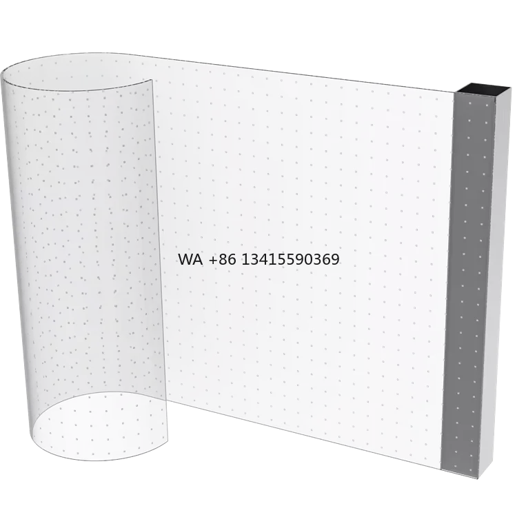 

P8 Color LED Flexible Transparent Film Display Advertising Window Paste Display