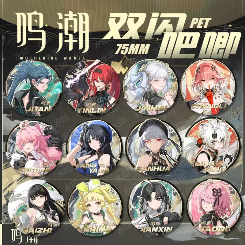 Insignia del juego Wuthering Waves, Pin de Yangyang, Baizhi, Jiyan, Danjin, sanhua, taoqi, Jianxin, Verina, Yinlin, jinxi, Encore, ChangLi, KaKaLuo, 2024