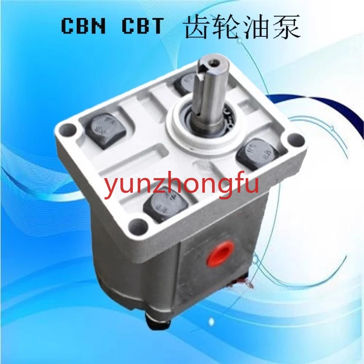 

Accessories Gear Pump CBT-F316 CBT-F310 CBT-F306 CBT-F325 CBT-F314 Hydraulic Oil Pump