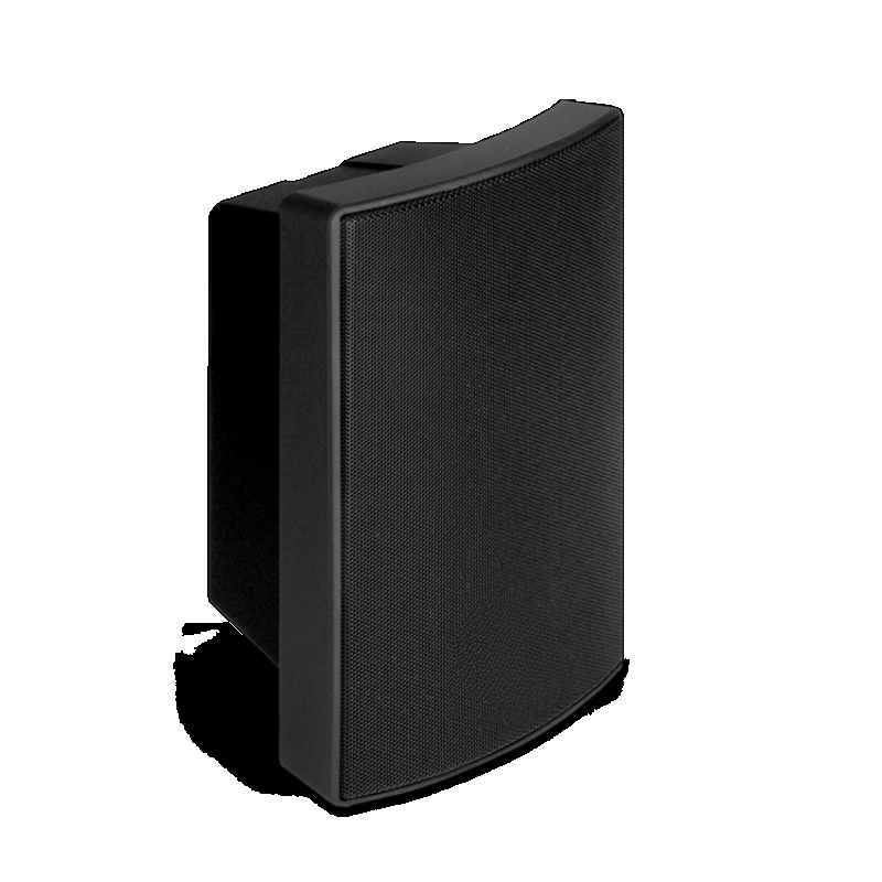 -1030B/W dual frequency all-weather speaker with fixed pressure resistance and waterproof dual-purpose wall mounted