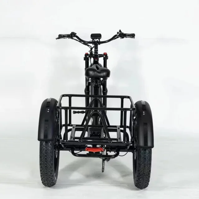 3 Wheels Electric Cargo Bike Tricycle For Adult With 48V 13Ah Lithium Battery 500W Cargo Bike image 3