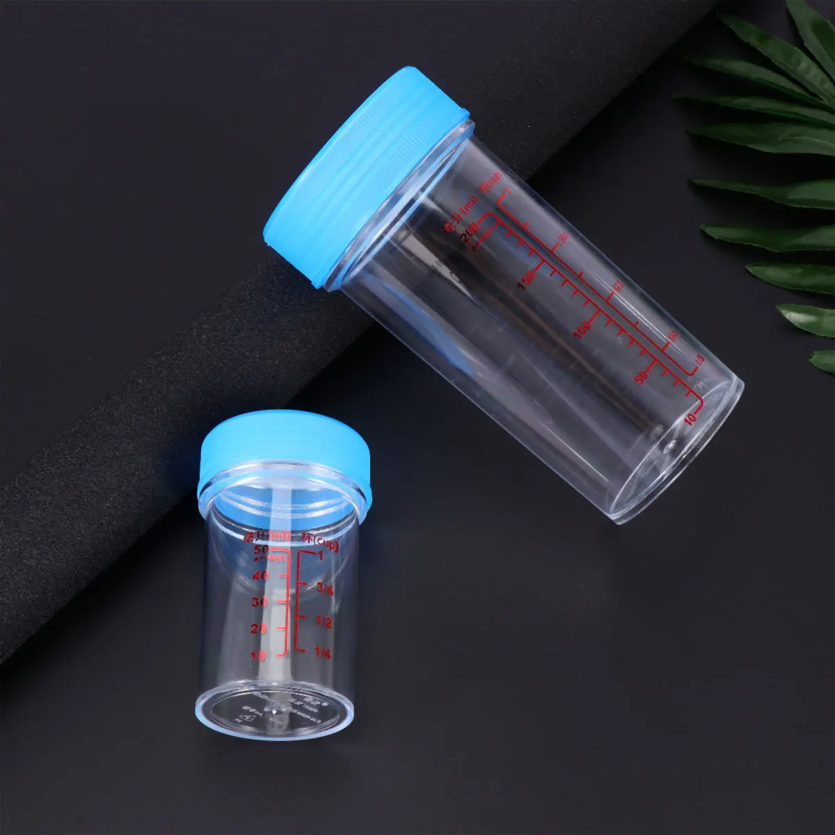 Picture 4: 2 pcs Plastic Measuring Cups Set 100Ml Scale Cups For Laboratory Kitchen Use Reusable Pp Material Scales Measuring