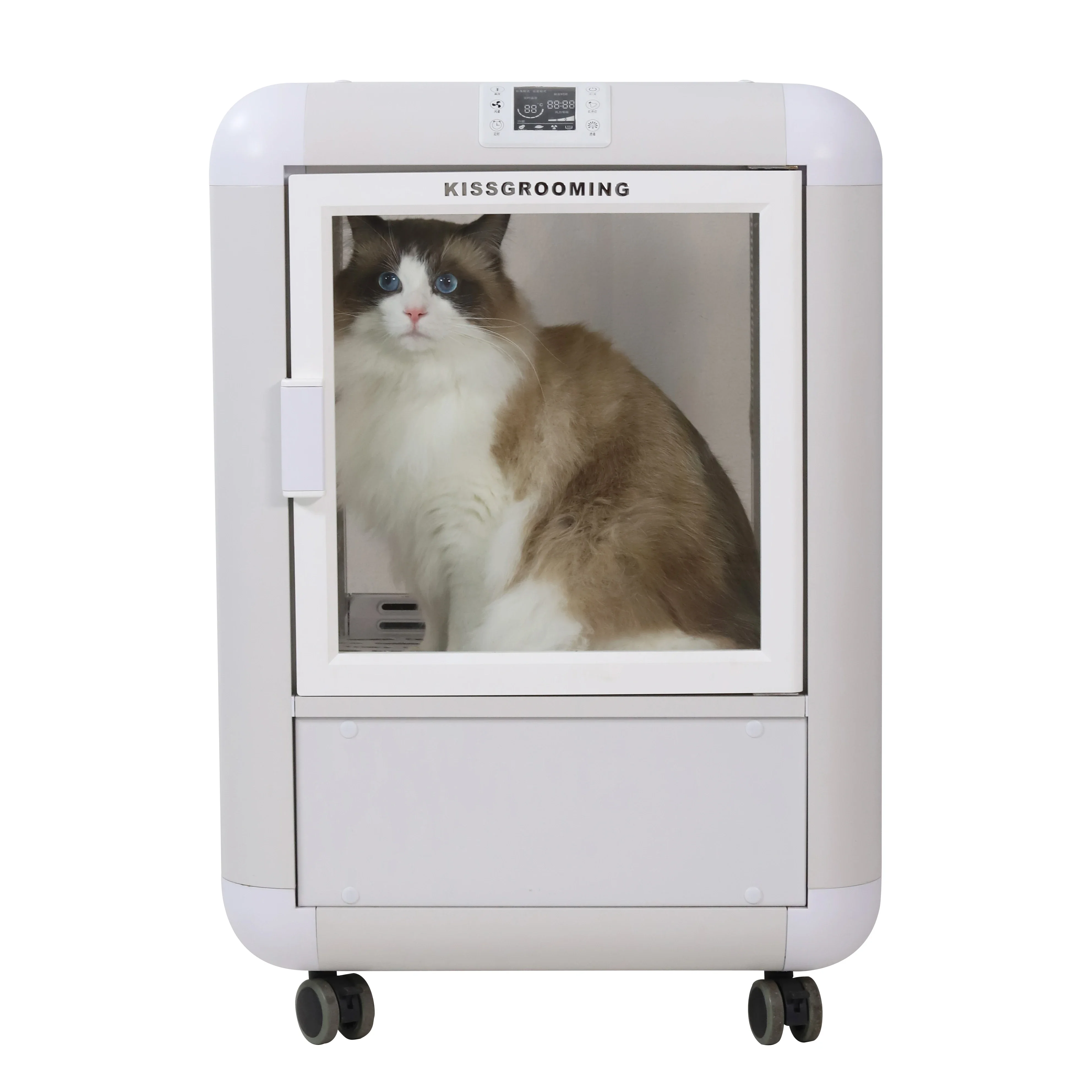 Full Transparent Visible Front Gate Pet Drying Cabinet 1650W 19 Minutes Drying A Ragdoll Pet-drying Cabinet