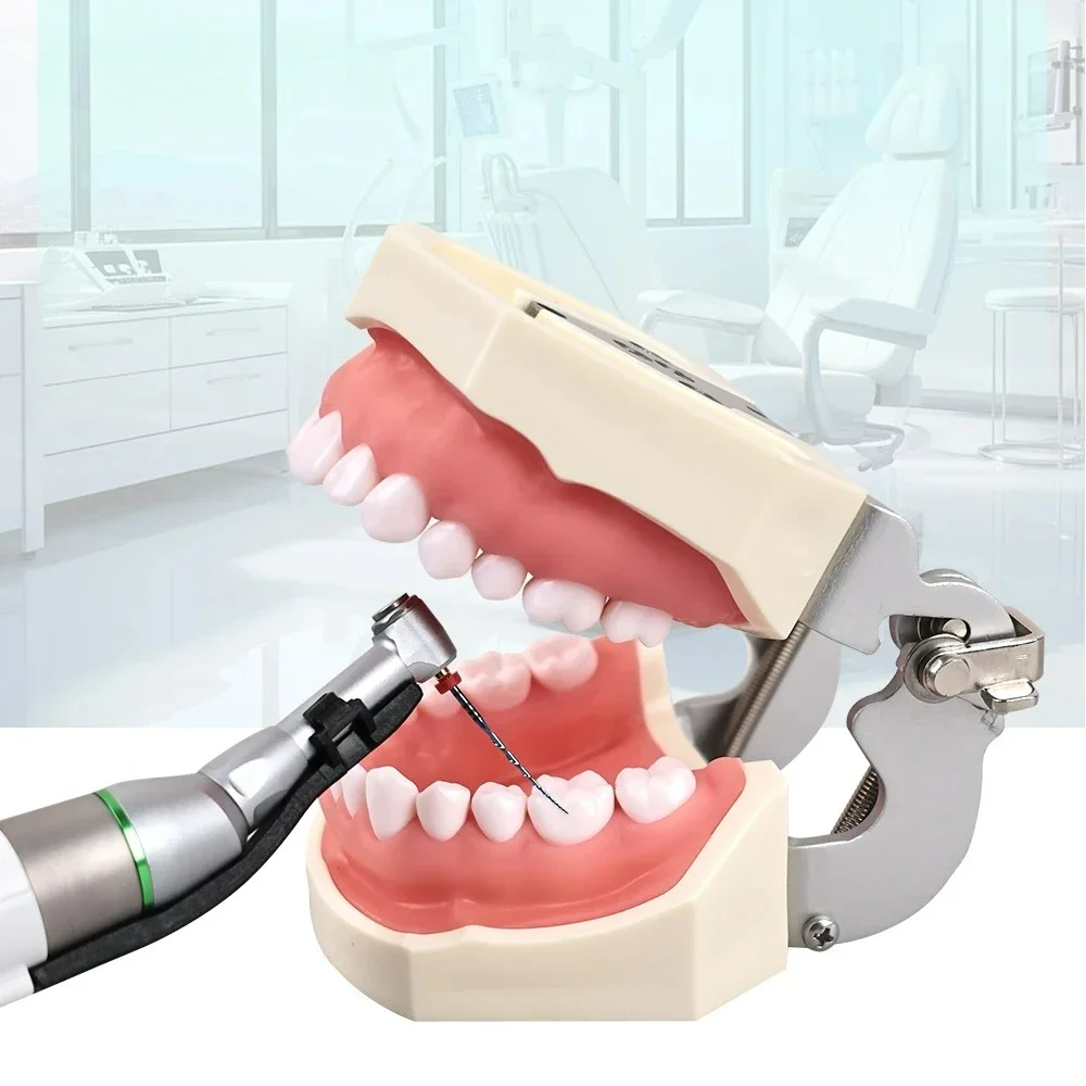 ELIJAH 6 قطعة ملفات اللبية الزرقاء الترددية للأسنان استخدام المحرك 25 مللي متر R25 R40 R50 تنشيط الحرارة ملفات قناة الجذر الدوارة Niti