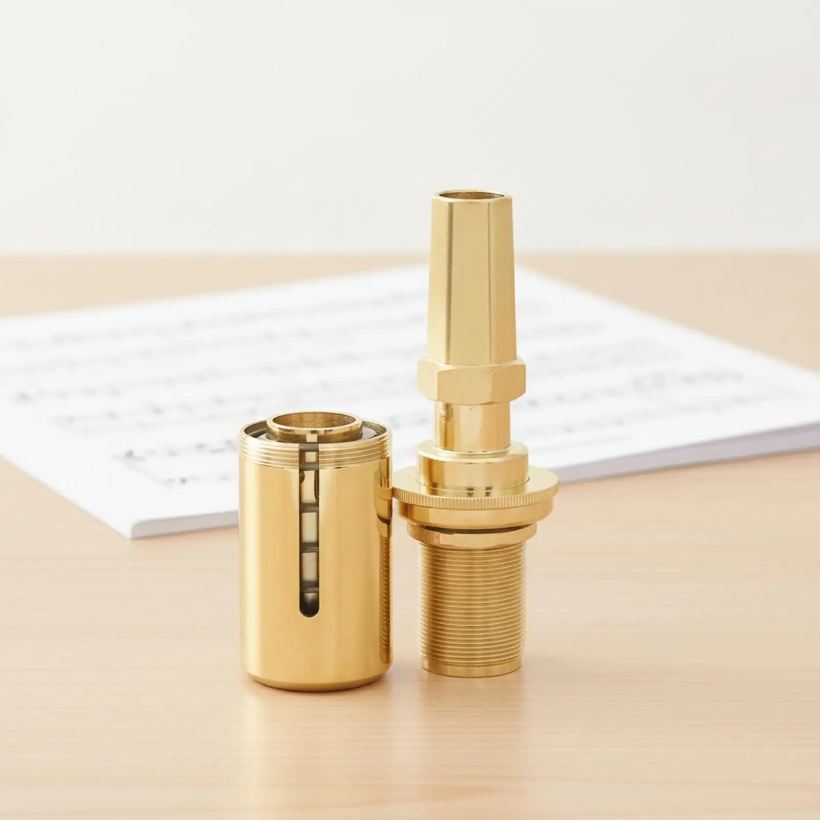 Adjustable Brass Mouthpiece Trainer for Trombone Instrument Accessory with Hexagonal Fine Tune and Portable Case