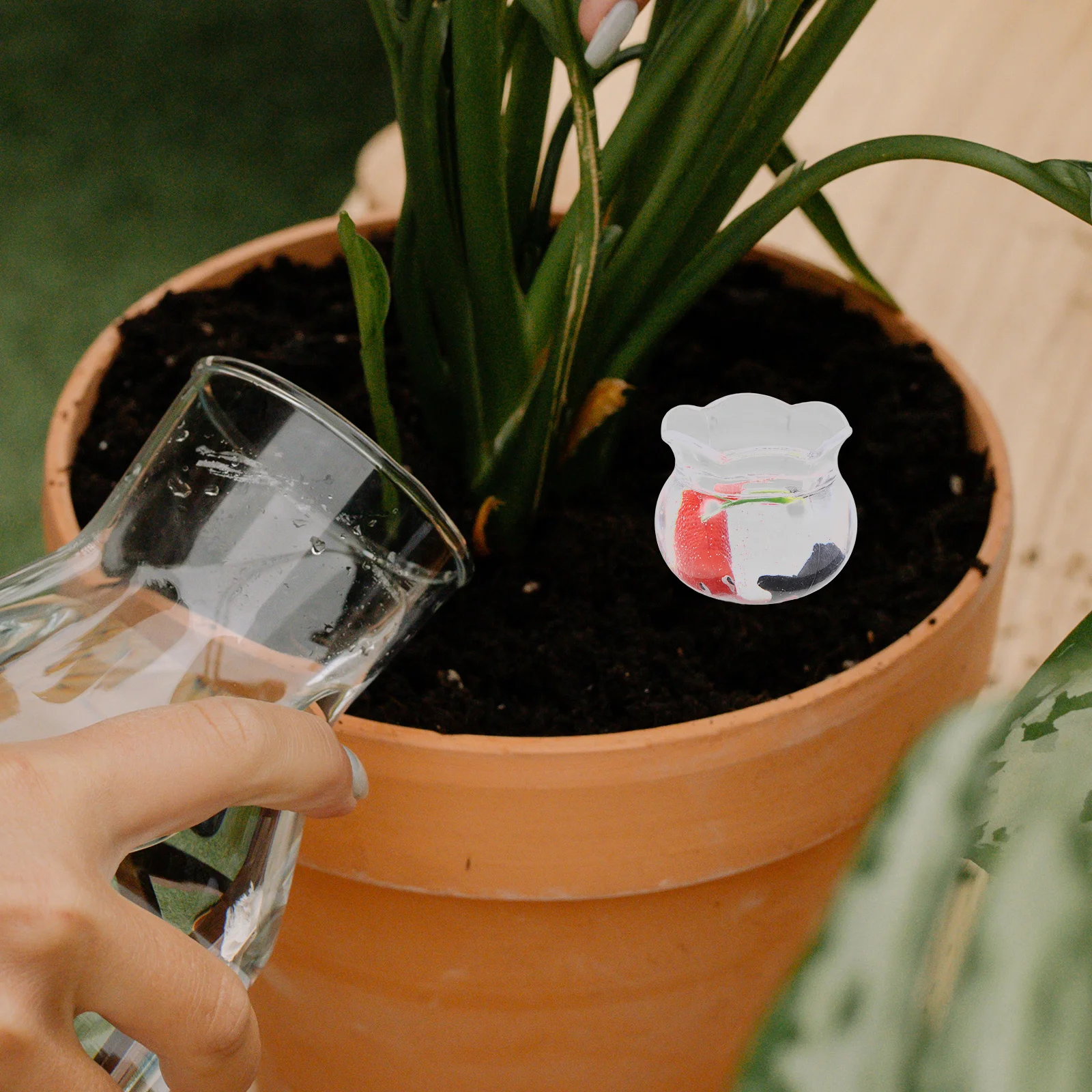 

Miniature Koi Fish Tank Realistic Appearance Versatile Usage Enhances Ambiance Easy Maintenance Mini Aquarium Landscape