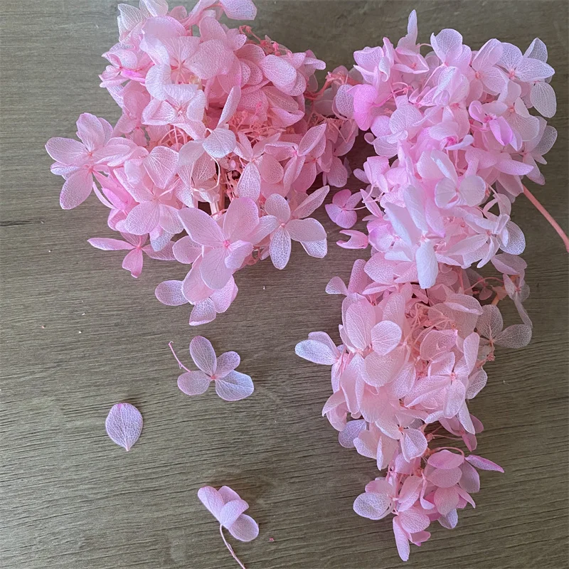 5~5.5g/Lot Natural Preserved Hydrangeas Fresh Eternal Flowers Dried Hydrangea Flower Heads For DIY Candle Making Gift Material