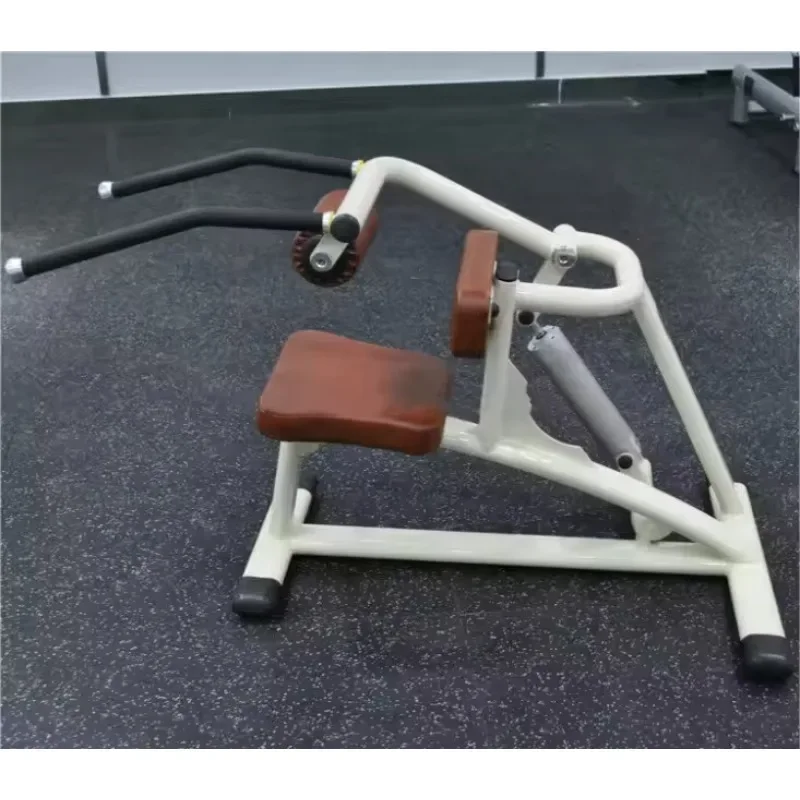 Newly Upgraded Commercial Or Household Fitness Equipment Women's Club Back Extension