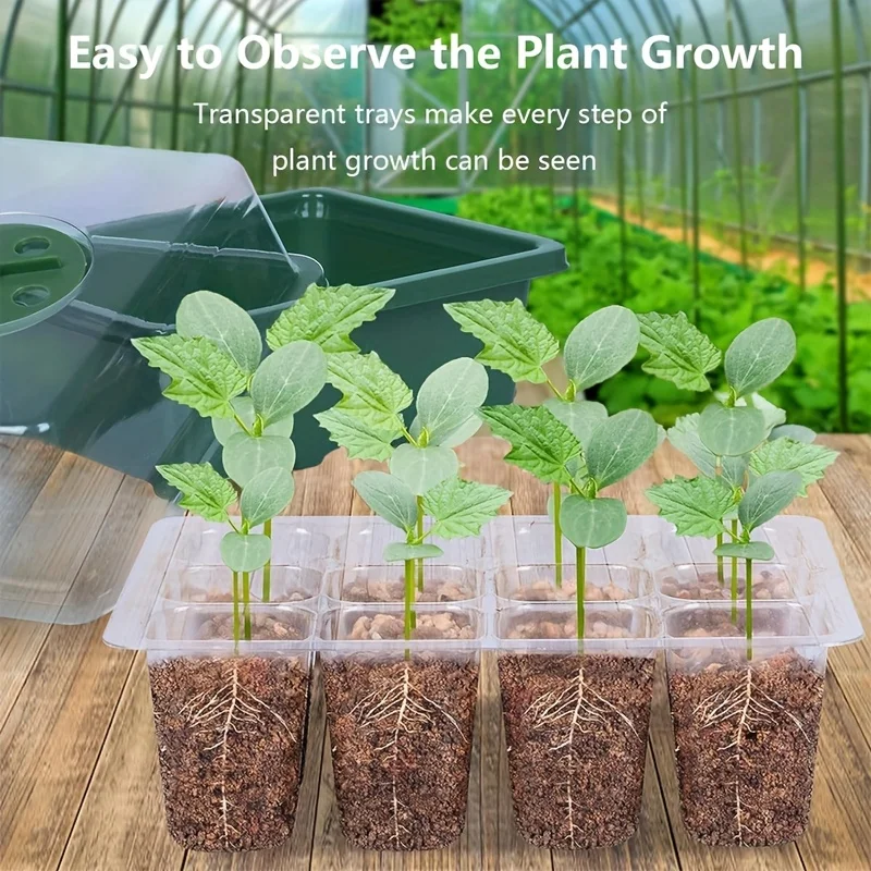 10PCS Seed Starter Tray Kit Adjustable Humidity Dome Reusable Seed Germination Tray Indoor Greenhouse Plant Growing Kit