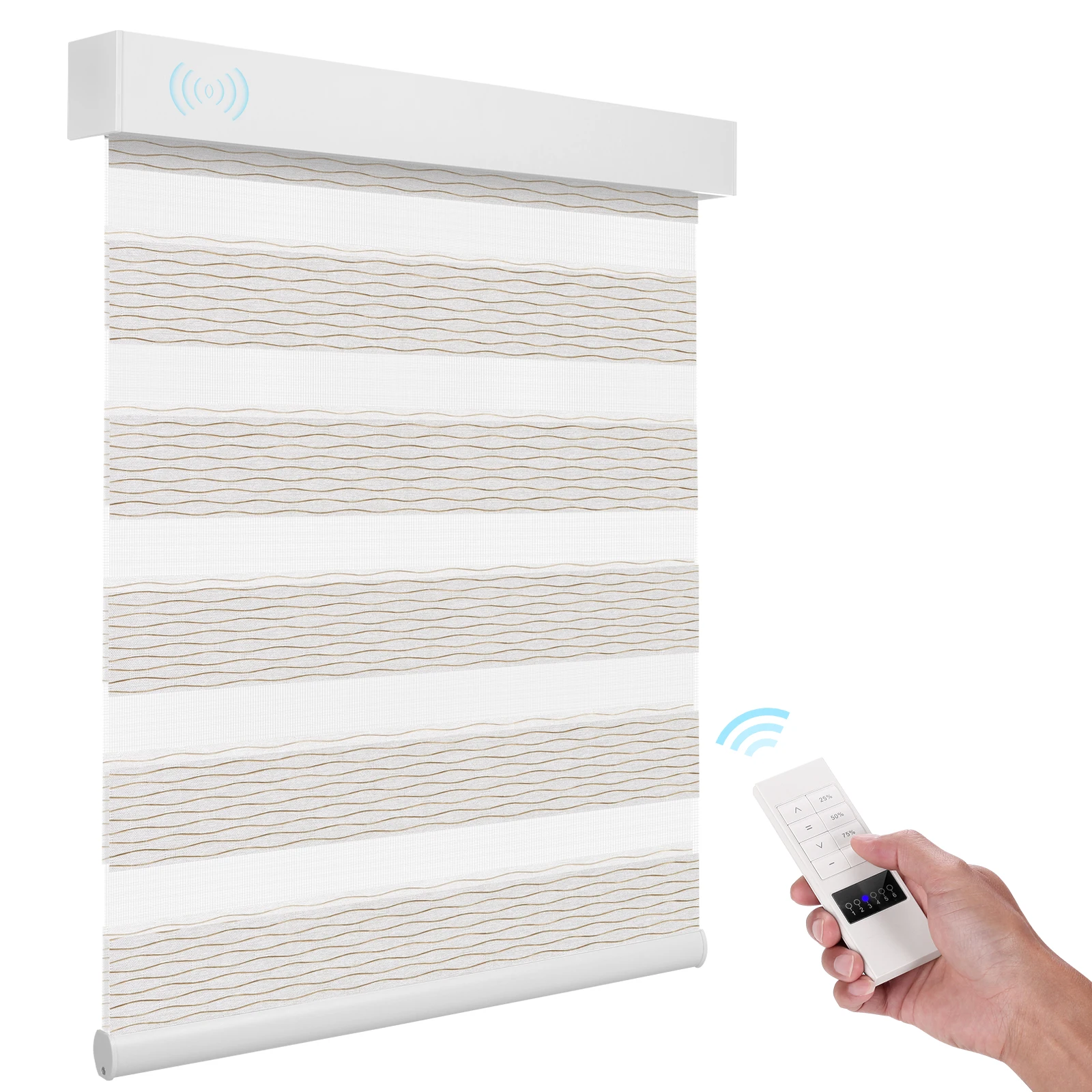 Light Filtering Day…