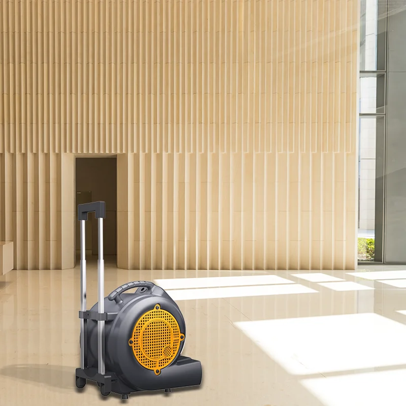 2025Essiccatore elettrico professionale per la pulizia dei tappeti per pavimenti bagnati di nuovo stile