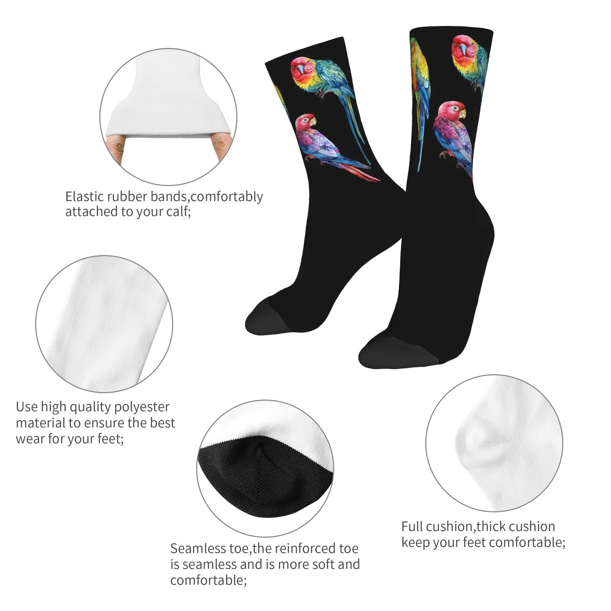Parrots Bird Guide Different Parrot Species of The World Pet Socks Men Women Polyester Funny Socks Harajuku Stockings Gifts