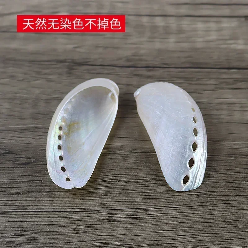 Natural Conch Abalone Shell Polishing New Zealand Big Shell Donkey Ear Abalone Photography Props Fish Tank Landscape Decoration