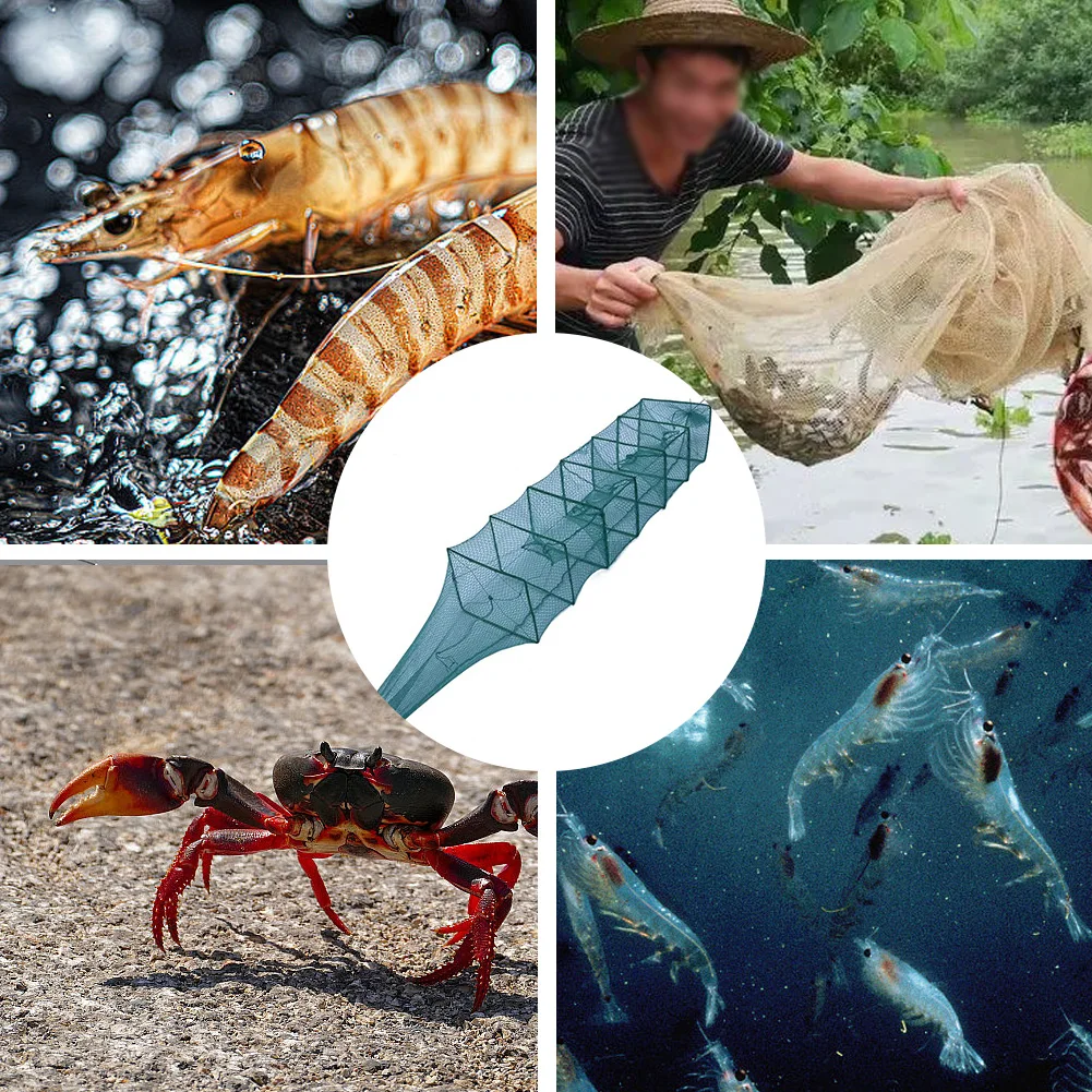 Thumbnail 3 - #49 Latest Fishing Traps Offers