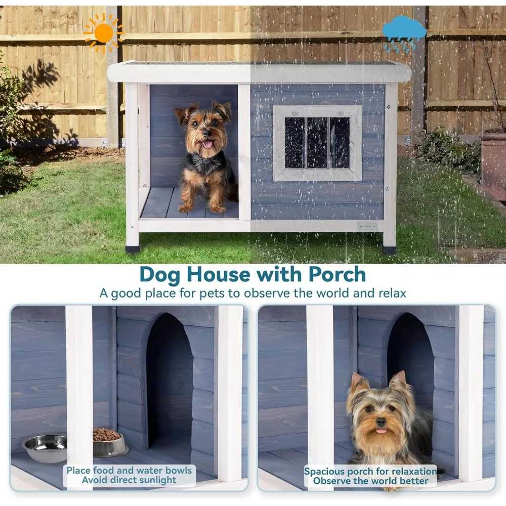 Small Dog House,33.6
