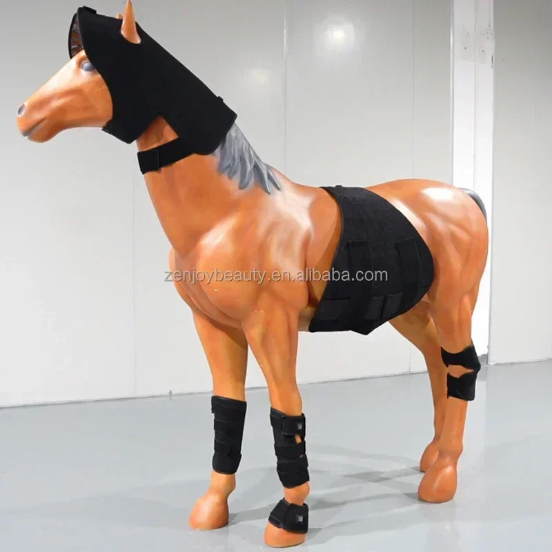 

In stock 2025 Infrared Red Light Therapy Horse Rug Equine Blanket for Animal Care Belly Leg Back Pad Treatment