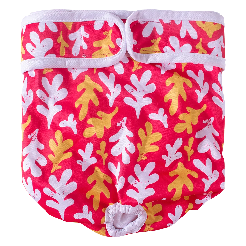 Herbruikbare Hondenluiers voor teven, Fysiologische Broeken voor Huisdieren, Ademende Sanitaire Broekjes voor Puppy's, Wasbare Hondenshorts voor Kleine/Grote Honden