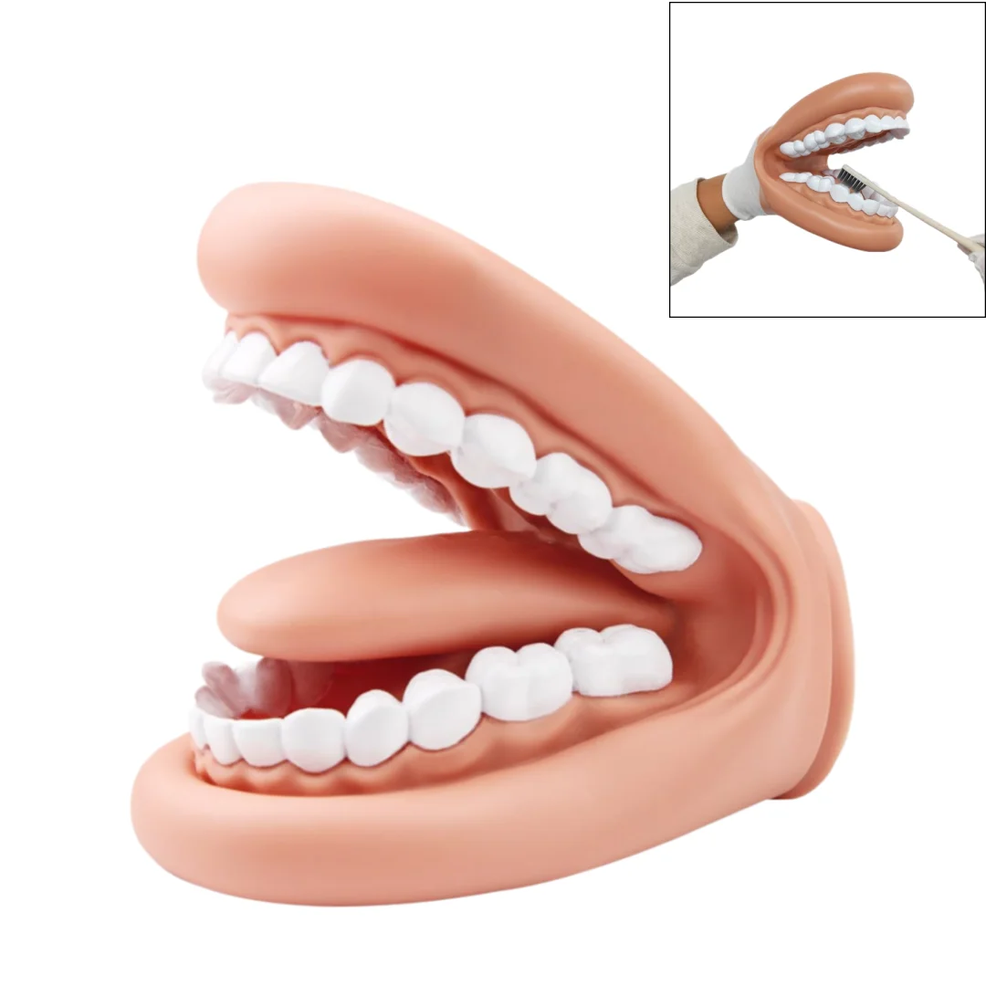 

Teeth Speech Therapy Model Dental Mouth Puppet with Tongue Hand Puppet for Kids Teaching Educational Dentist Learning Tool