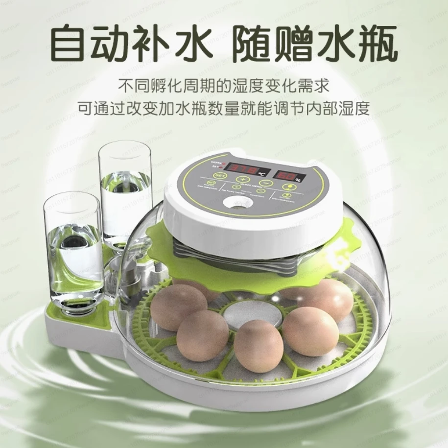 Small Household Fully Automatic Flying Saucer Incubator – Intelligent Box for Parrot, Pigeon & Bird Eggs
