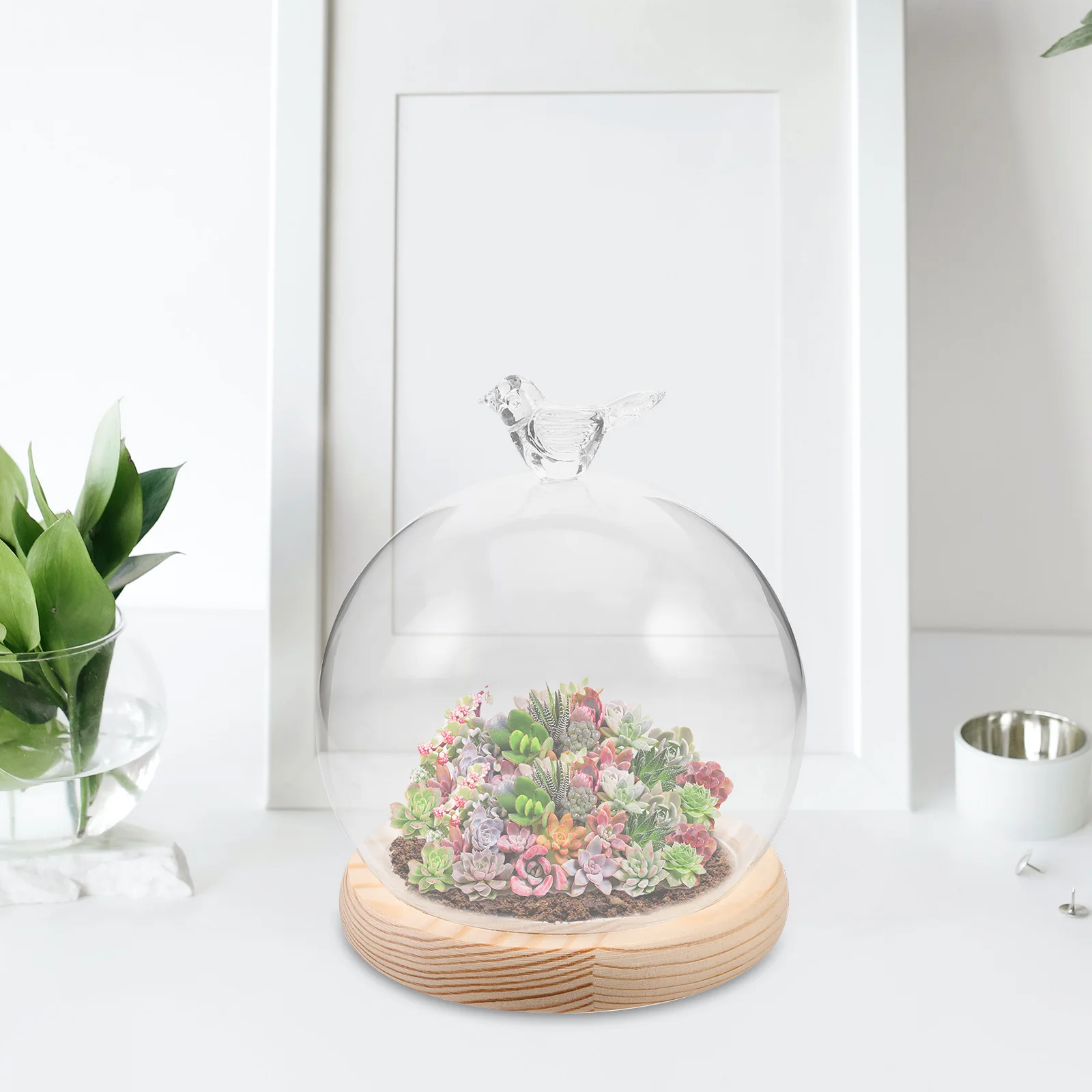 

12 Glass Display Domes Clear Dustproof Cover Micro Landscape DIY Decorations Preserved Flower Hoods Eternal nament Base Wood