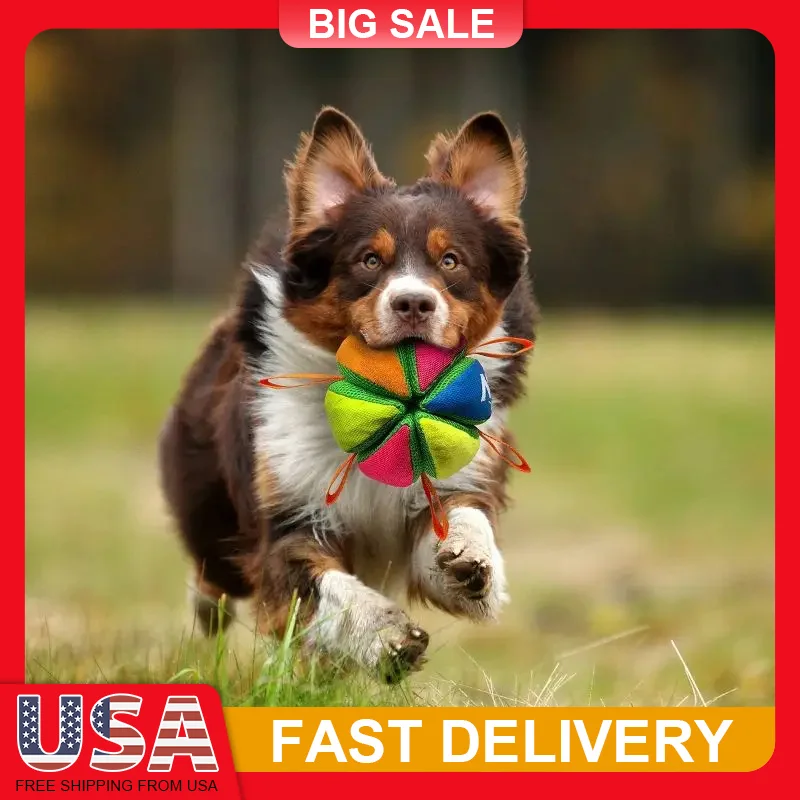 

Wedge Ball Dog Toy Straps Easy Grip Tug of War Fetch Medium Large Dogs Tear-Resistant Mesh Interactive Play Treat Hiding Pet Toy
