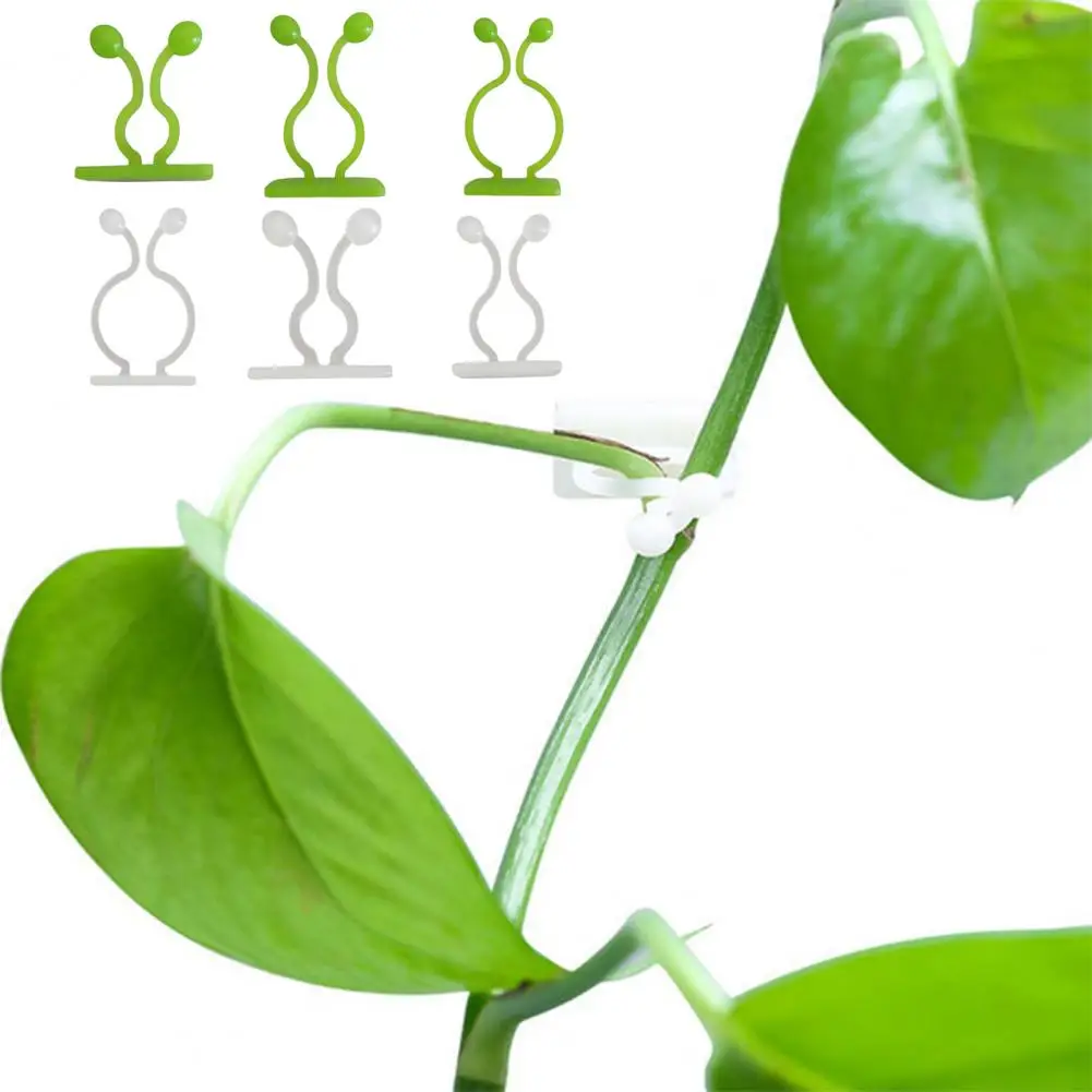 50Pcs Vine Holder Self-adhesive No Punching Invisible Sticky Plants Support Plastic Wall Climbing Vine Clip Gardening Supplies