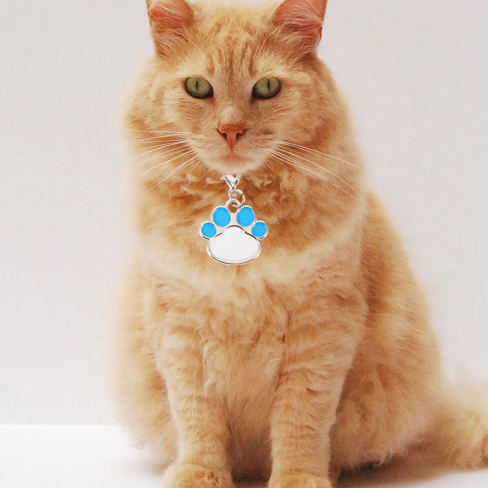 

Paw Shaped Blank Dog Tag Pet ID Sublimation Tags Blanks Stainless Steel Name Blue