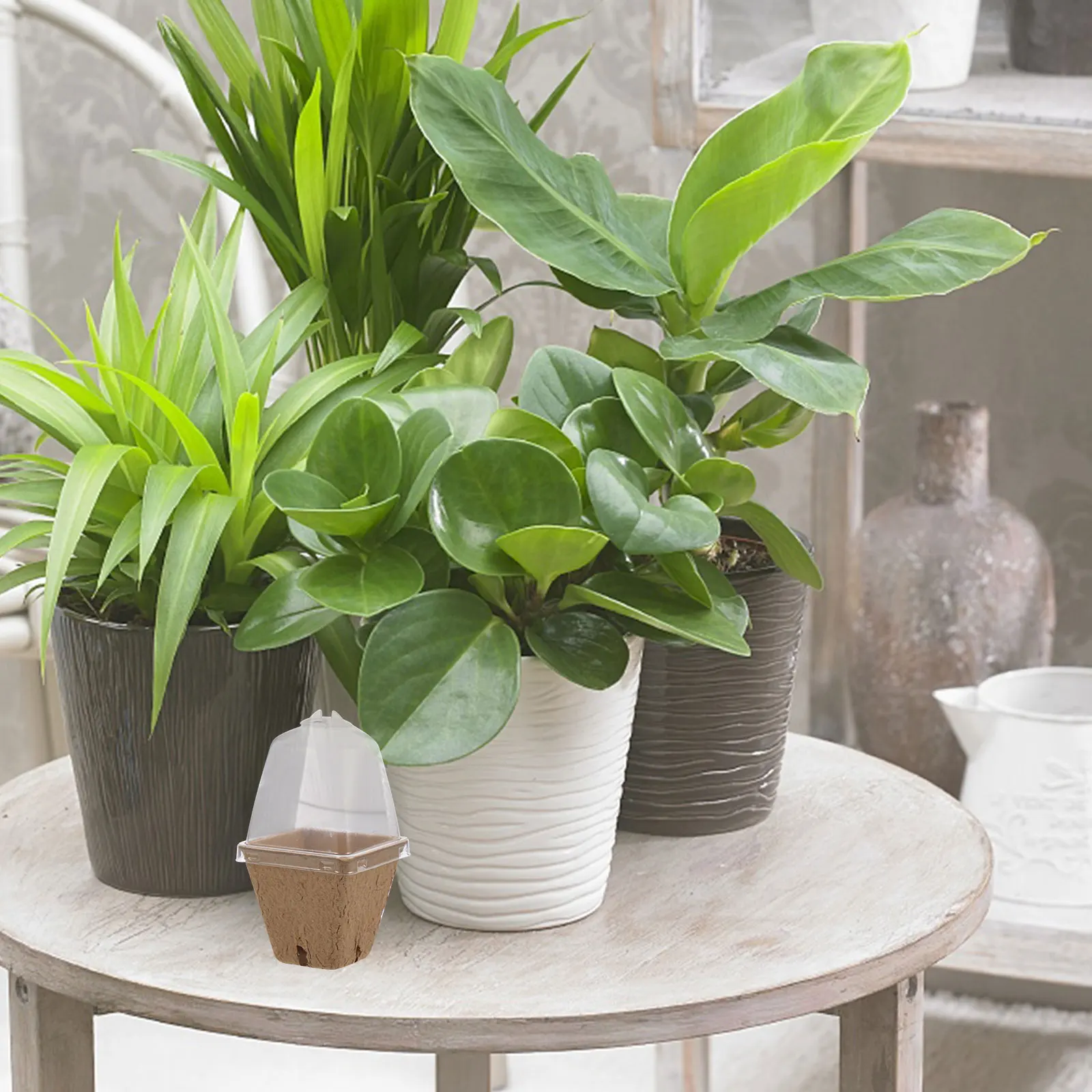 

20 Pcs Paper Pulp Seedling Cups 6cm Square Mouth with Lid Durable Plant Containers for Gardening Flower Vegetable Saplings
