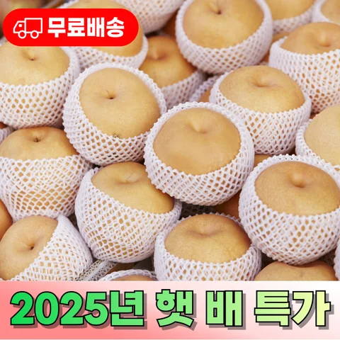[넉넉] 2025년 국산 배, 맛있는 경북 배 가정용 배 3kg, 5kg