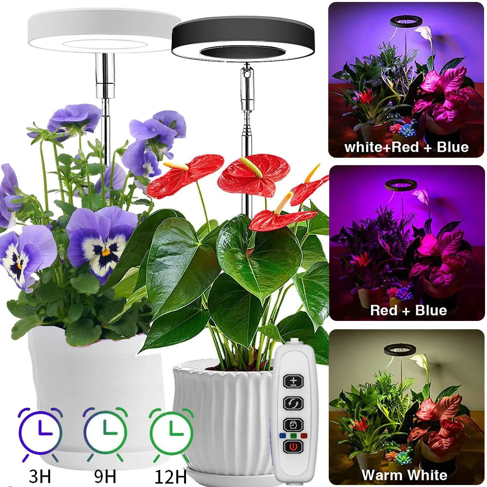 

Full Spectrum LED Grow Lights for Indoor Plants Height Adjustable Dimmable Growing Lamp Flower Halo Ring Phyto Lamp Growth Light