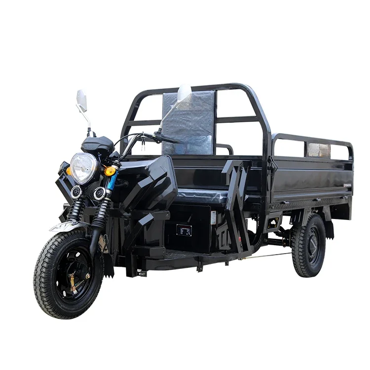 

Tailg Best Quality Three Wheeler Battery Powered 3 Wheel Cargo Electric Tricycle