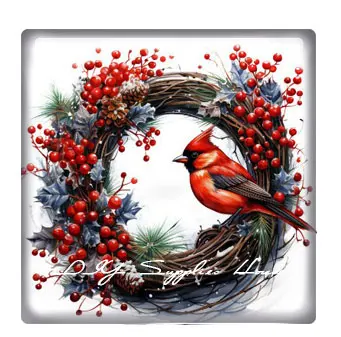 سحر الزجاج كابوشون مربع ، سحر كابوشون ، صنع المجوهرات ديي ، عيد الميلاد س-ماس زوجين الطيور ، ظهر مسطح ، X-ماس ، 10 الكثير