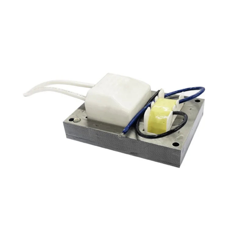 Electrostatic Generator Static Elimination Encapsulated High Voltage Ion Transformer Power Supply Spare Parts