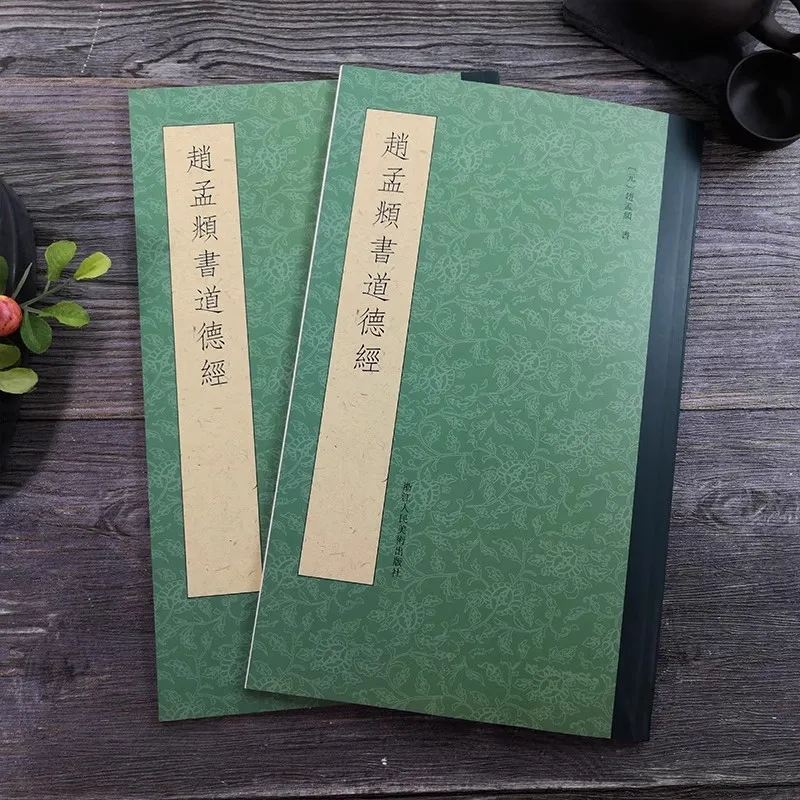 Chinese Small Regular Script Calligraphy Copybook | Xiaokai Brush Pen Practice Tracing Book for Beginner