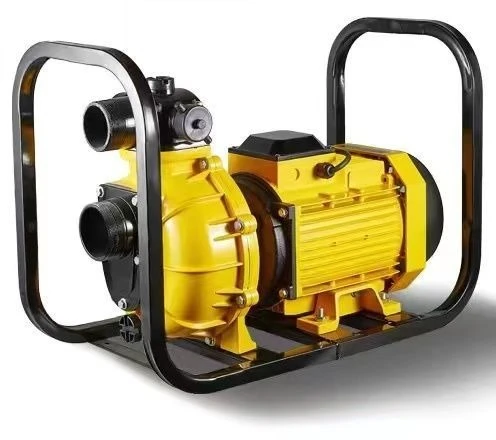 20251.5HP 2HP 3HP مضخة مياه سطحية تعمل بالطاقة الشمسية لري المزرعة