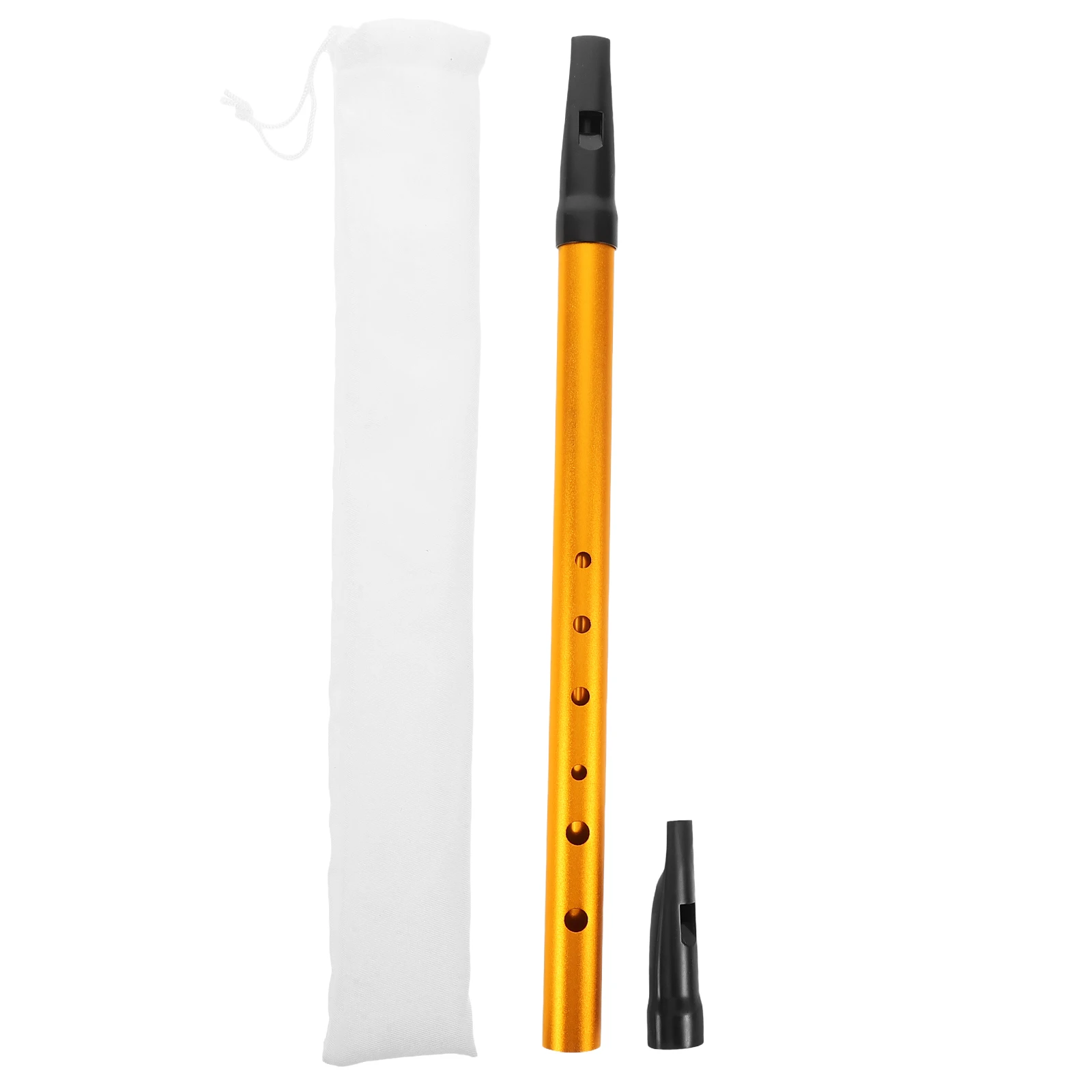 

Beginner Recorder 6-hole Whistle Key Irish Brass Instruments Clarke Tinwhistle Golden Beginners