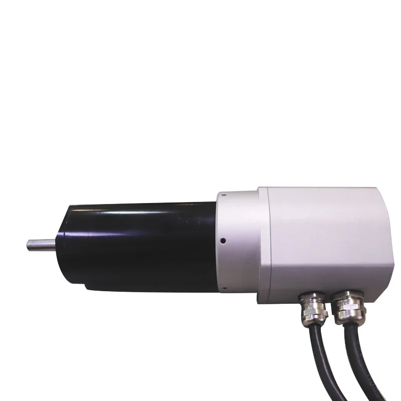 Faradyi 50100 Carbon Brush Motor 48v High Precision Energy Saving Intelligent Security Beauty Machinery High Torque Motor