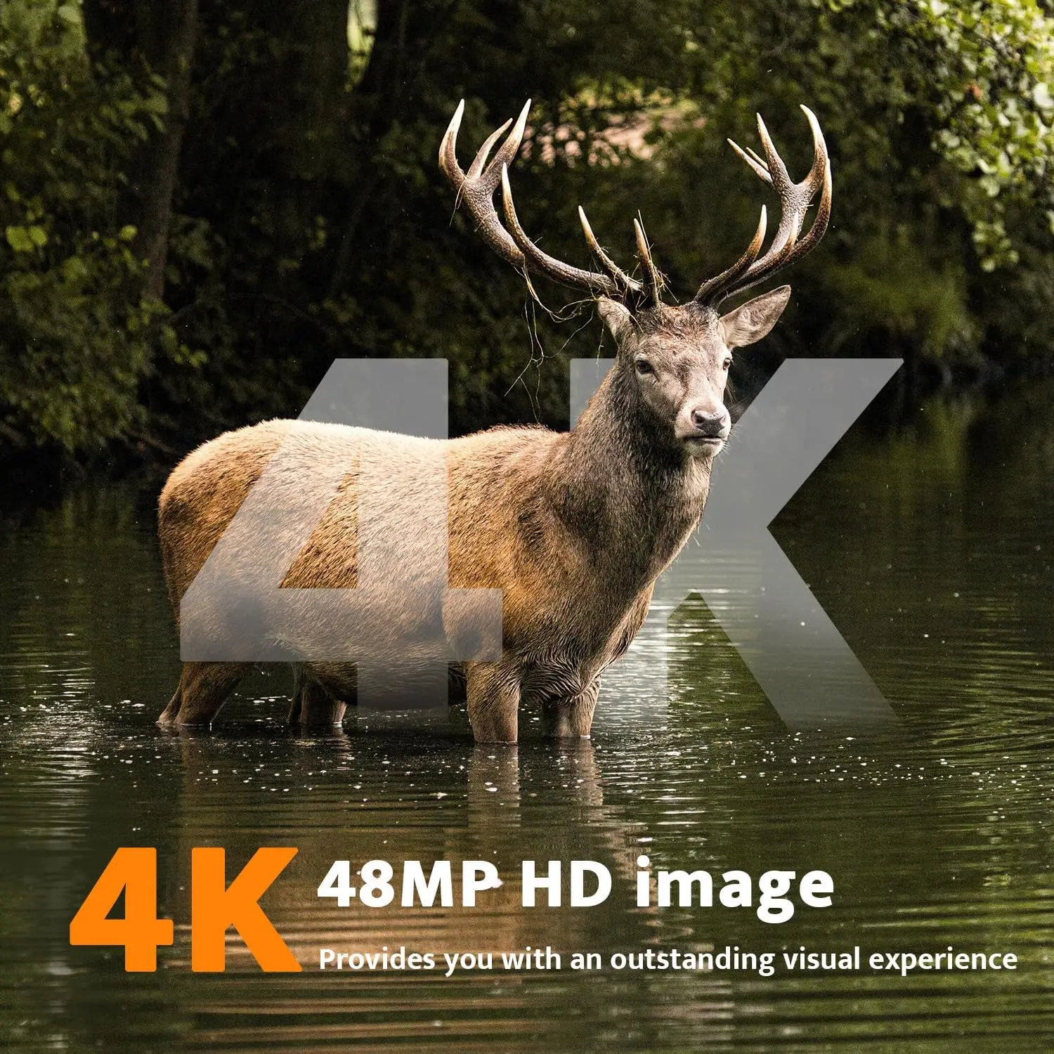 4K 48MP Solar Trail Camera with Night Vision, Motion-Activated Waterproof Hunting Camera, Built-in Battery, 32GB Memory Card