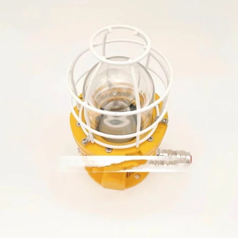 Marine incandescent explosion-proof light CFD1 waterproof, anti-corrosion and explosion-proof marine cabin light 220V/24VCCS