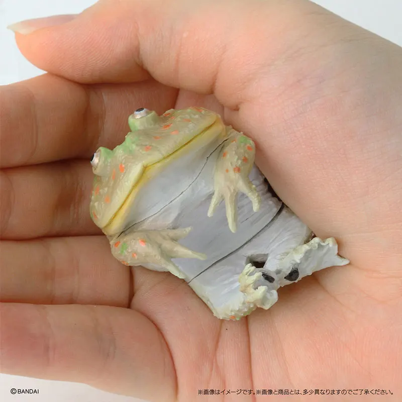 Bandai Genuine Biological Encyclopedia Gashapon Toys Simulated