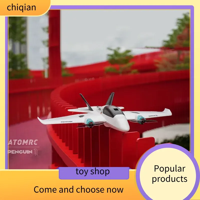 Atomrc pingüino doble motor baja altitud transversal FPV ala fija RC avión Control remoto avión portátil juguete para niños