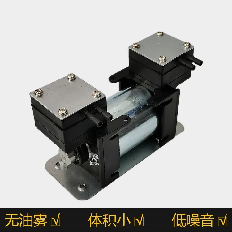 Micro pompe à vide DC12V, Micro pompe à Air spéciale pour Instruments de beauté, petite pompe à pression négative à Double tête