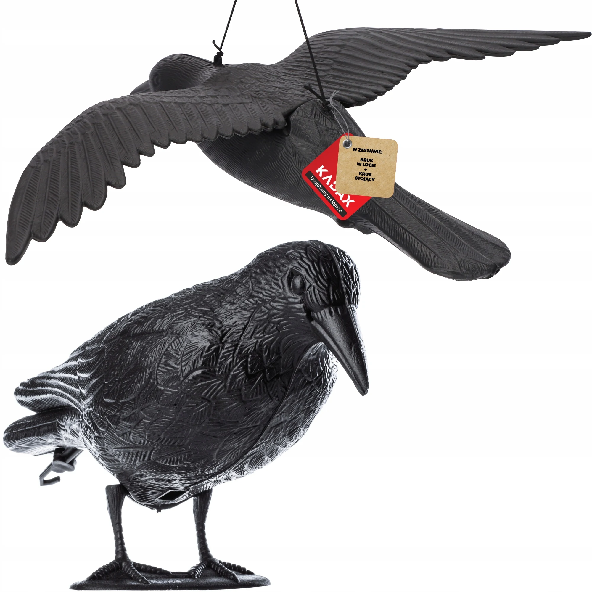Image of KADAX Raven Pigeon Repeller Standing + In Flight